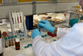 Laboratorio del Instituto de Investigación en Arqueología Ibérica de la UJA.