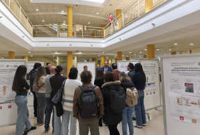 Exposición de pósteres sobre proyectos de investigación e iniciativas alineadas con los ODS.