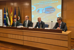 Alfonso Ibáñez, Nicolás Ruiz, Miguel Ángel Lérida y Rafael Lomas.