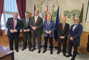 Javier Carazo, Antonio Miguel Posadas Chinchilla, Nicolás Ruiz, Gerardo Pérez, Armando Zuluaga y Nabil Benomar.