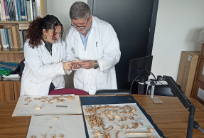 Los investigadores de la UJA Juan Carlos Castillo y Mª Ángeles Mora.