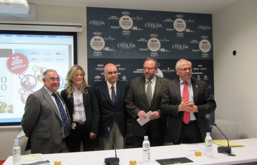 Presentación de la actividad