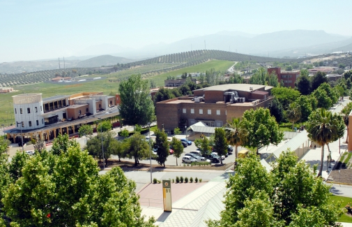 Vista del Campus de Las Lagunillas desde el Edificio Rectorado.