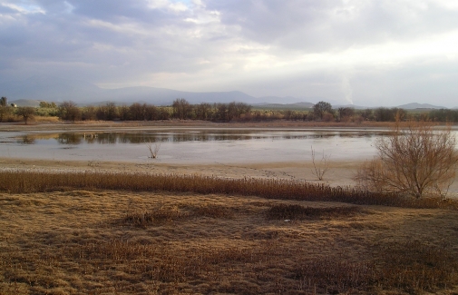 Paraje natural de Laguna Grande, en Baeza.