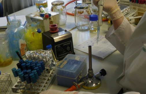 Laboratorio de Microbiología de los Alimentos y del Medio Ambiente