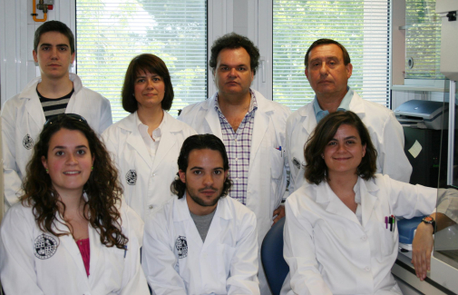 Grupo de investigación de la UJA