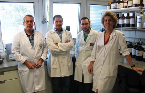 Grupo de investigación