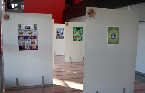 Aspecto de la exposición<br>en el edificio C 5
