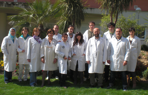 Miembros del Grupo de Investigación de Química Analítica de la UJA