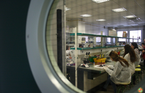 Alumnado, en uno de los laboratorios de la UJA