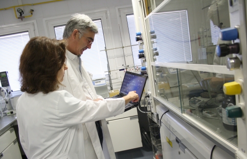 Investigadores de la UJA consultan un portátil en el laboratorio de Química Inorgánica.