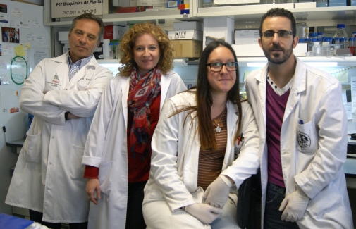 Juan Bautista Barroso, a la izquierda, con su grupo de investigación