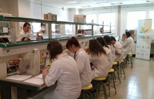 Alumnado participante, en un laboratorio.