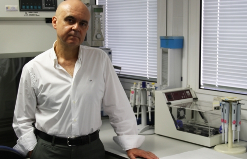 El investigador José Gaforio.