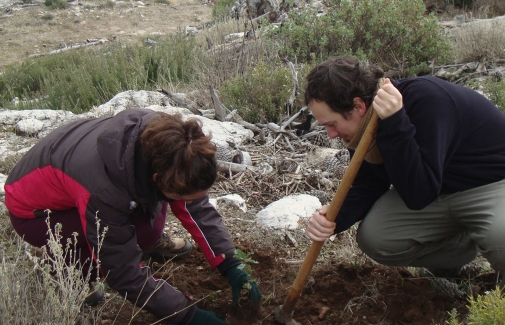 Voluntariado universitario, en una actividad de reforestación en la Sierra de Cazorla.