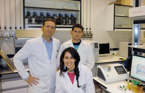 Ruperto Bermejo, a la izquierda, junto a los miembros de su grupo de investigación.