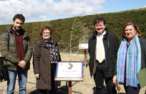 Arturo Montejo, María Dolores Rincón, Juan Manuel Rosas y María José Calero, junto a la placa y el arbusto