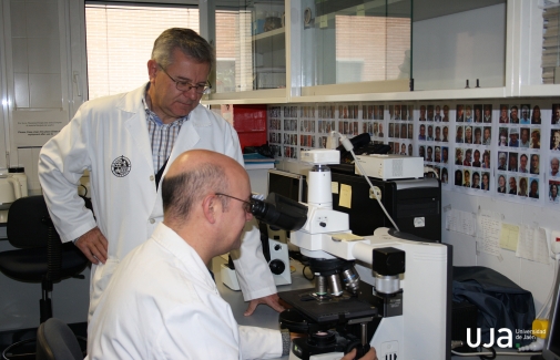 Reyes Peña y Joaquín Abolafia, en el laboratorio.