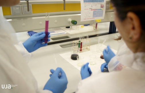 Investigadores en un laboratorio de la UJA.