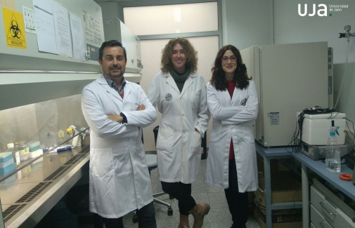 De izquierda a derecha, los investigadores, Juan Antonio Marchal, Macarena Perán y y Elena López.