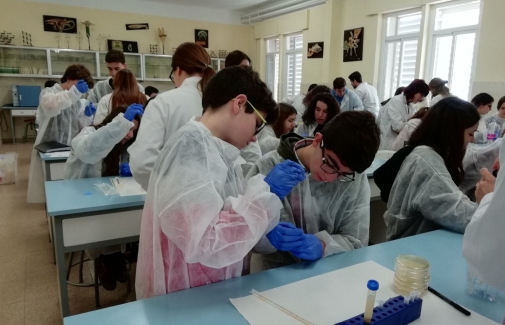 Alumnado participante en el programa.