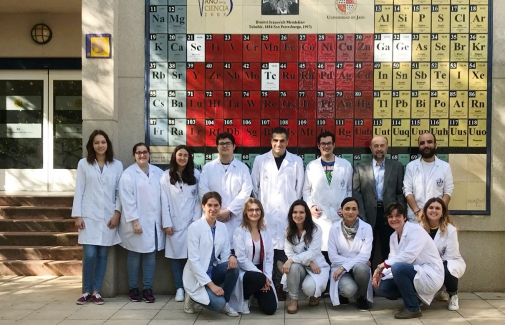 Grupo de investigación 'Química Analítica' de la Universidad de Jaén.