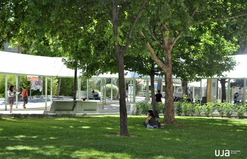 Zona ajardinada junto al Edificio B3 del Campus Las Lagunillas.