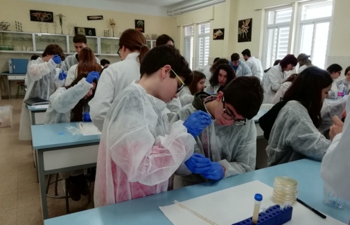 Alumnado participante en el proyecto ganador del IX Premio Universidad de Jaén a la Divulgación Científica.