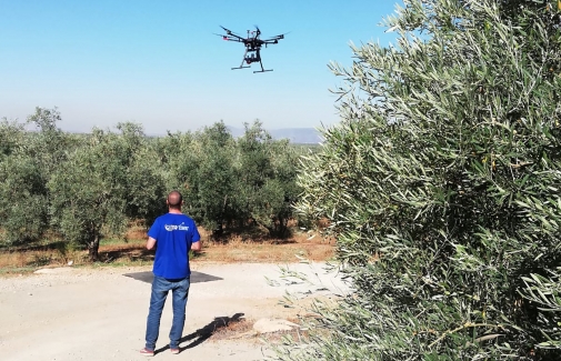 Trabajo con dron en un olivar.
