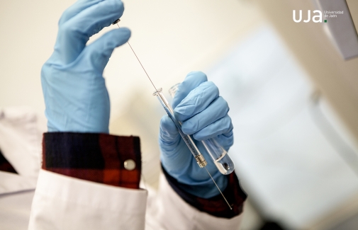 Estos proyectos abarcan las áreas de ciencias experimentales, ciencias de la salud, psicología e ingeniería.