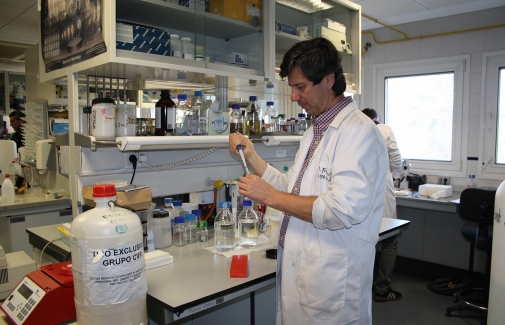 El investigador Diego Franco, en una imagen de archivo en su laboratorio.
