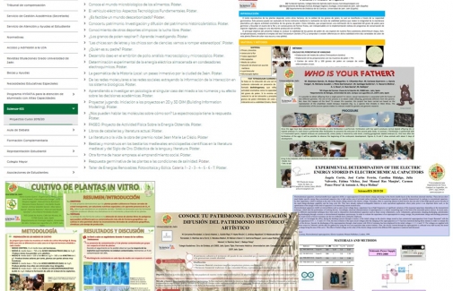 Imagen de algunos de los posters realizados.