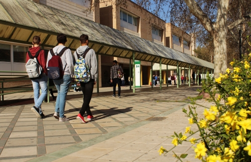La Universidad de Jaén oferta para el curso académico 2020-2021 un total de 2.907 plazas de alumnado de Grado, 1.585 de Máster y 219 de Doctorado