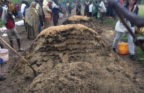 Trabajos agrícolas realizados por la población del grupo étnico ‘batwa’, en Ngozi (Burundi).