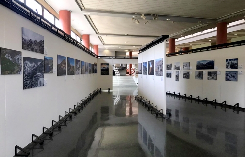 Imagen general de la sala de exposiciones.