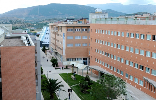 Imagen parcial del Campus Las Lagunillas.