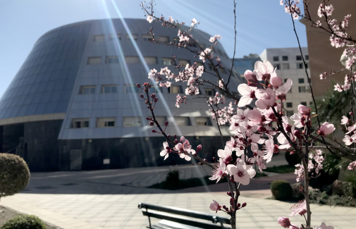 Edificio A4, en el Campus Las Lagunillas.