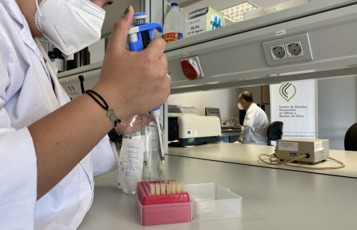 Laboratorios del centro que tiene la UJA en Geolit.