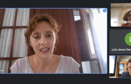 Un momento de la conferencia de clausura 'online' impartida por Eva Sotomayor.