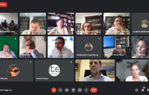 Reunión telemática del Consejo Social de la UJA, celebrado hoy. Fotografía: Consejo Social