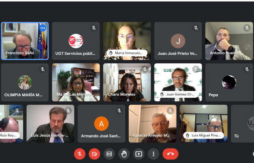 Sesión online del Pleno del Consejo Social de la UJA, celebrado hoy.