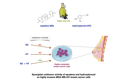 Actividad antitumoral sinérgica de escualeno e hidroxitirosol en células de cáncer de mama MDA-MB-231 altamente invasivas