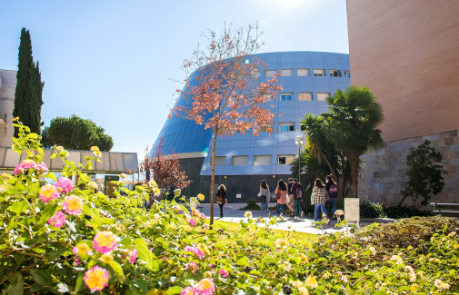 Imagen del Campus Las Lagunillas.