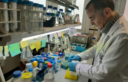 El investigador Francisco Navarro, en su laboratorio.