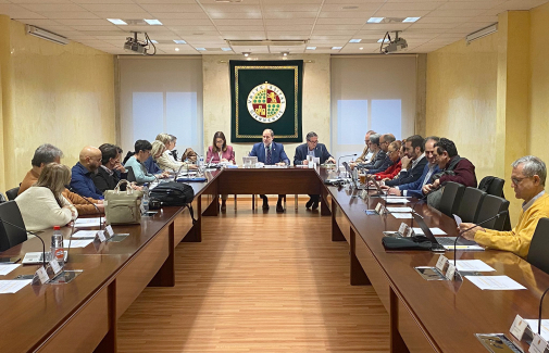 Sesión extraordinaria del Consejo de Gobierno de la Universidad de Jaén.